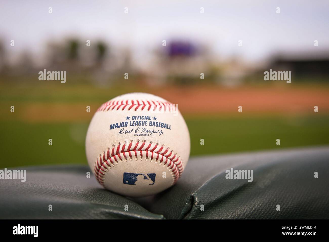 Una partita di baseball si trova sulla rotaia prima di una partita di baseball primaverile della MLB contro i Chicago Cubs, sabato 24 febbraio 2024, a Scottsdale, Arizon Foto Stock