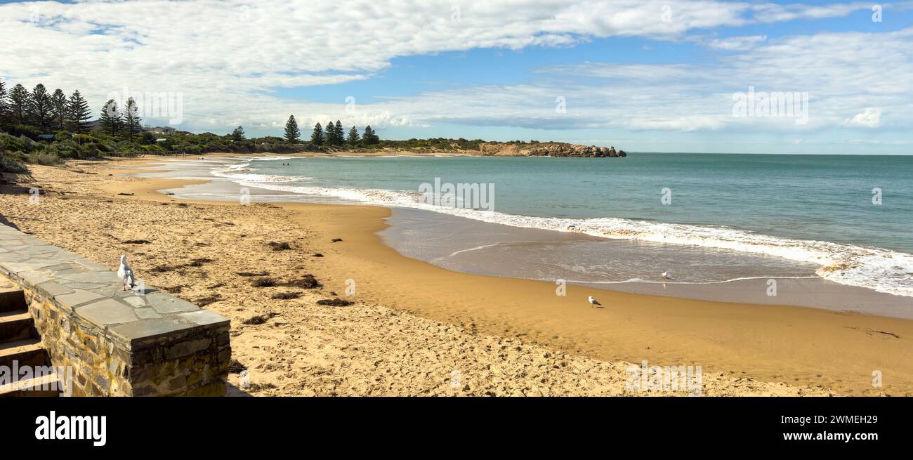 Gabbiani sulla spiaggia di Horseshoe Bay, Port Elliot, Australia meridionale Foto Stock