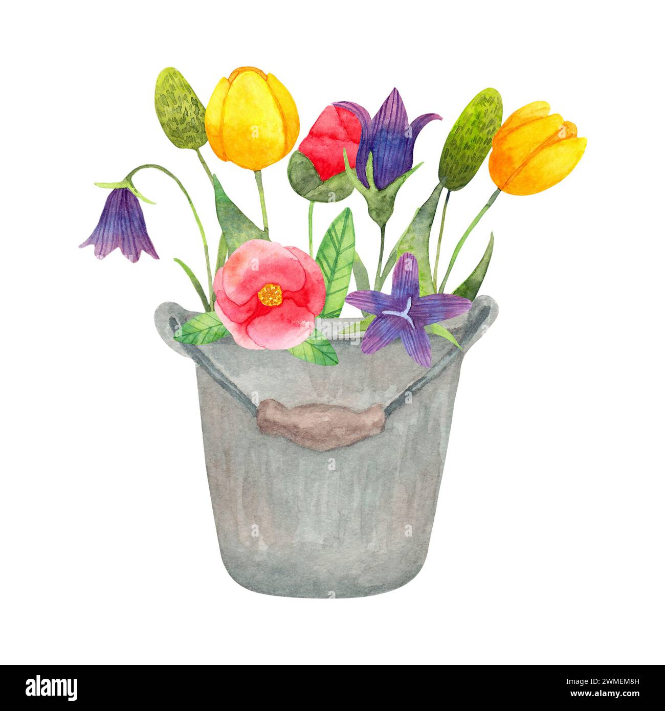 Secchio di metallo con fiori provenienti dal giardino. Composizione botanica primaverile per Pasqua. Acquerello illustrazione semplice.disegno isolato disegnato a mano. Stagionale Foto Stock