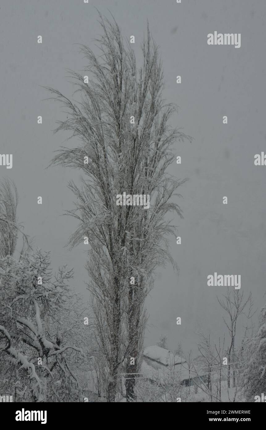 Forti nevicate nelle zone collinari di KP Pakistan Foto Stock