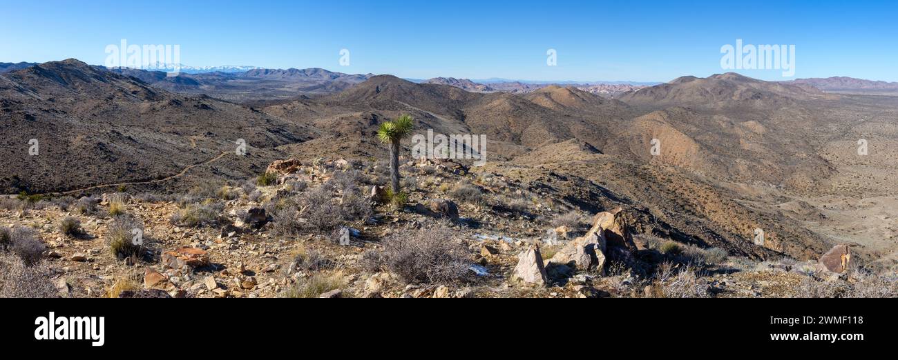 Vista panoramica del deserto del Mojave. Percorso escursionistico Lost Horse Mine, Joshua Tree National Park, California, sud-ovest degli Stati Uniti Foto Stock