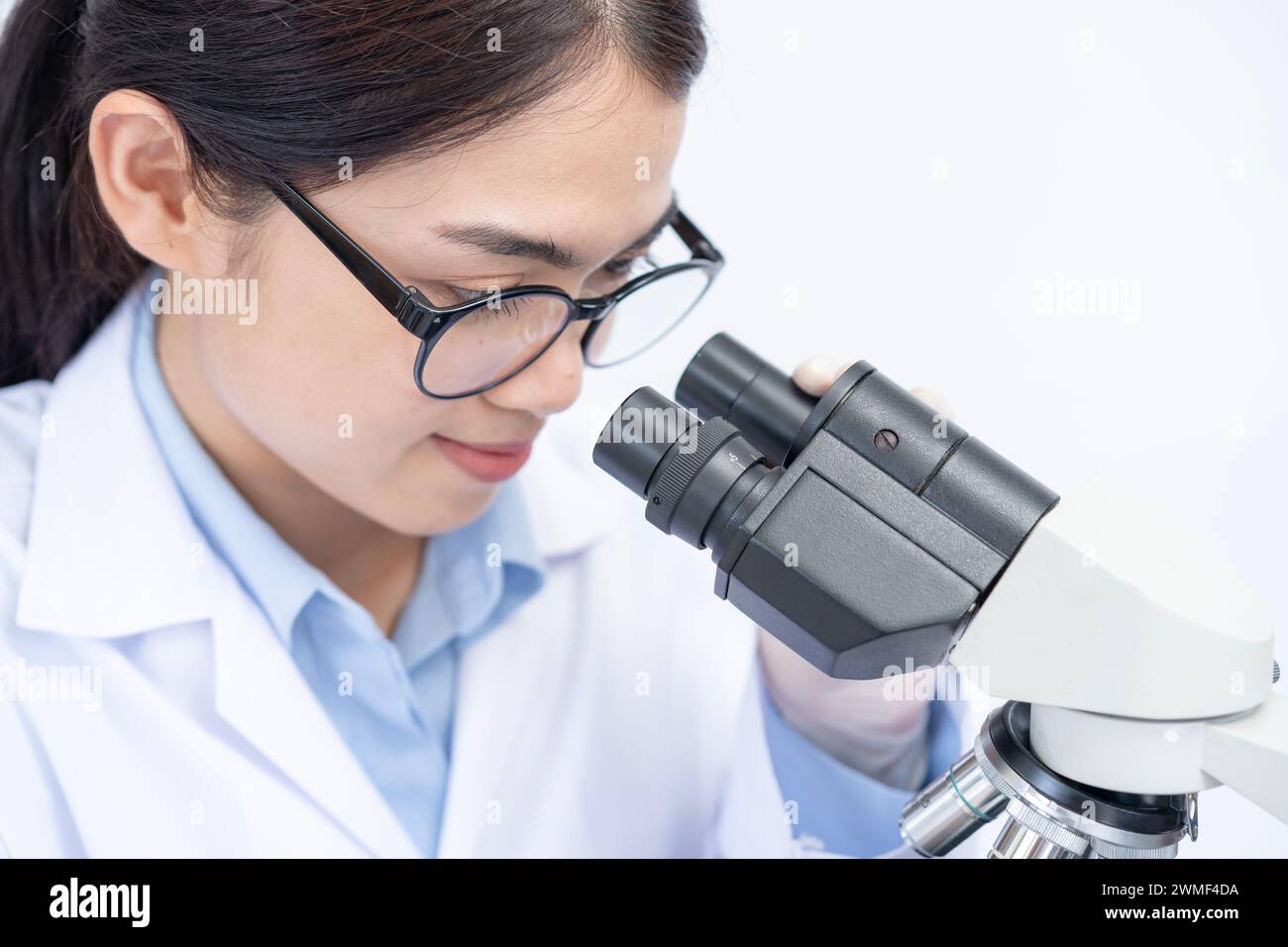 La scienziata donna sta esaminando le piastre di Petri in laboratorio Foto Stock