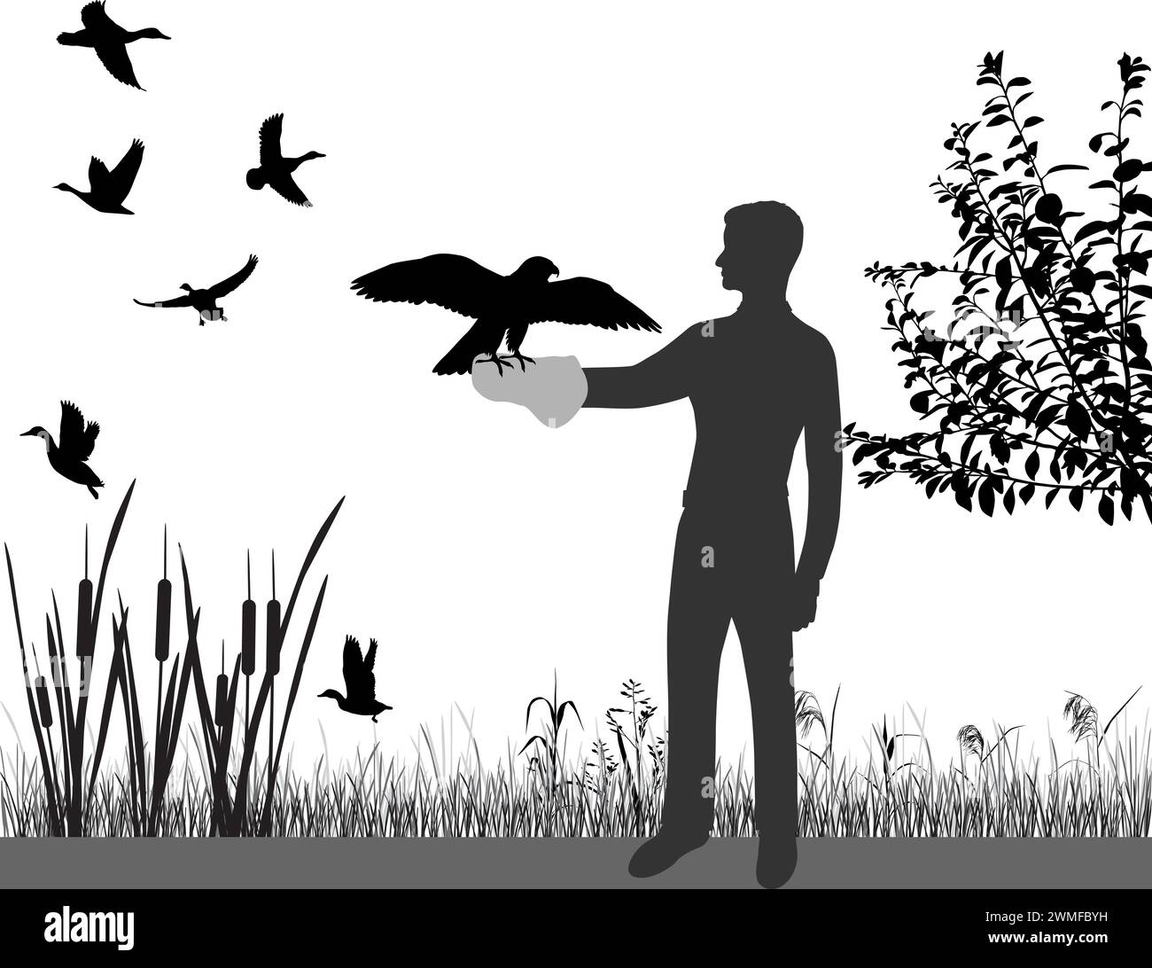 Uomo con falco pellegrino al braccio che caccia l'anatra Illustrazione Vettoriale