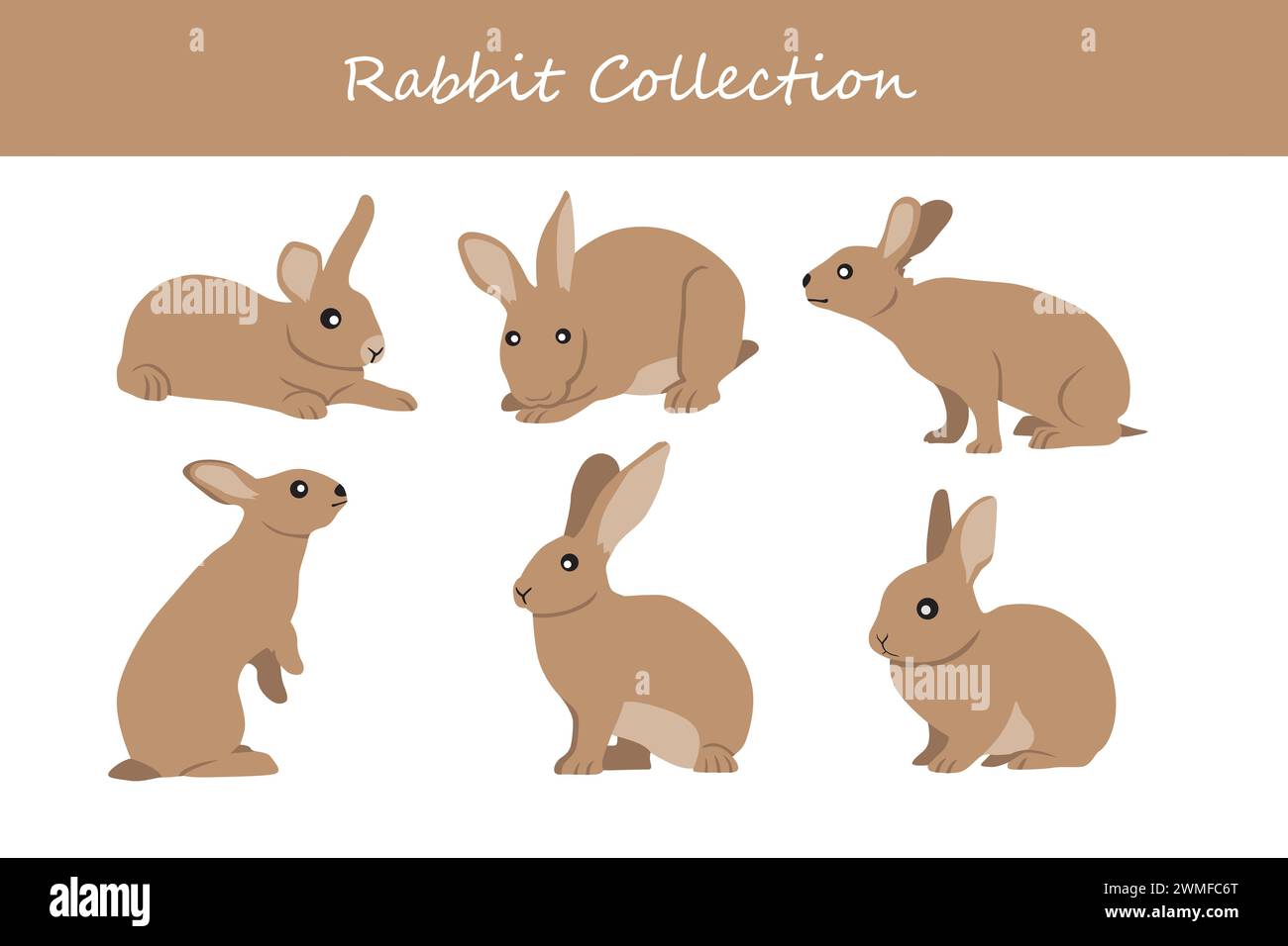 Insieme di vettori di coniglio. Carino lepre dei cartoni animati. Illustrazione vettoriale Illustrazione Vettoriale