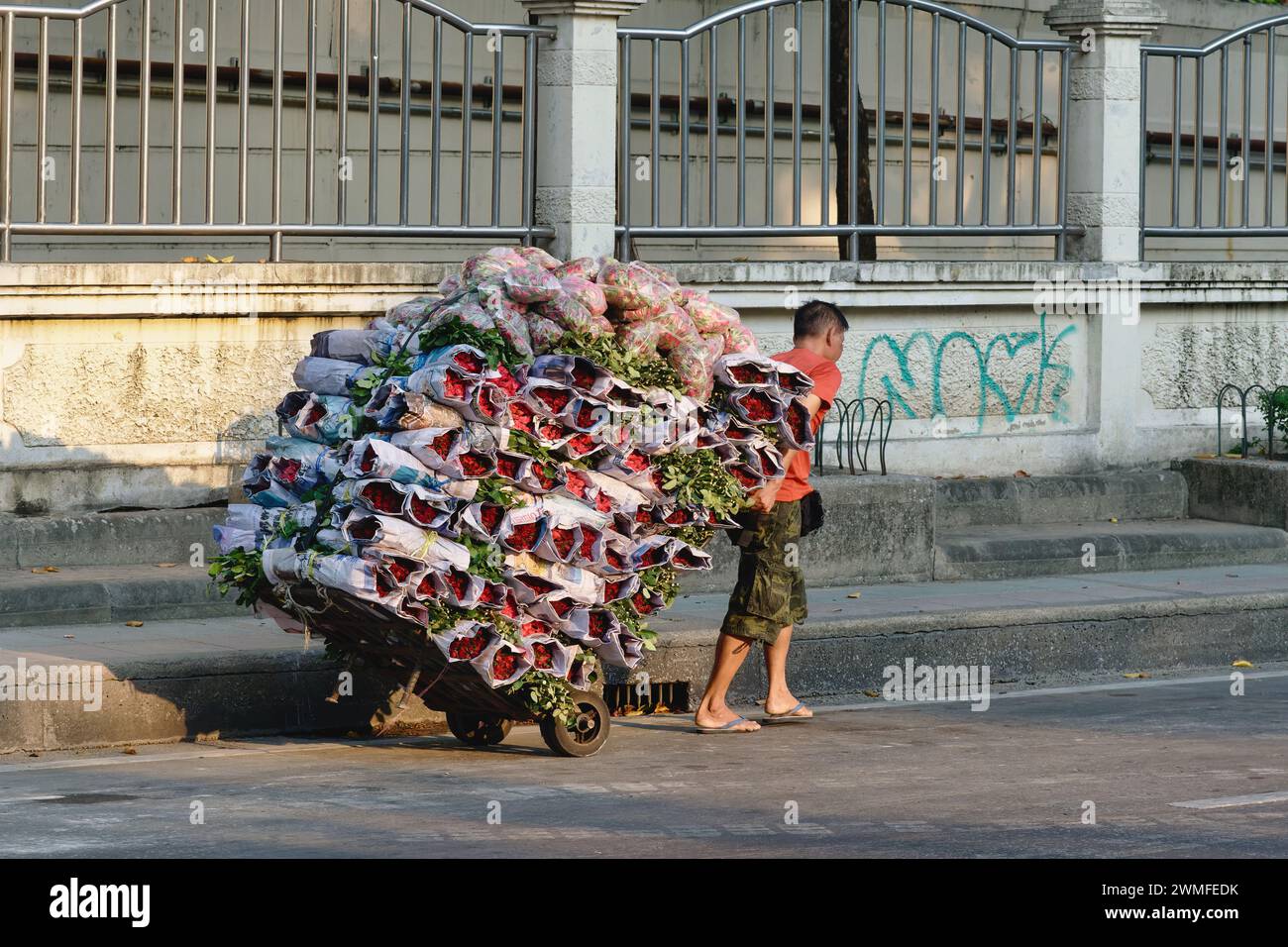 Un impiegato del mercato, un immigrato dal Myanmar (Birmania), tira un carrello carico di mucchi di rose; vicino al mercato dei fiori di Yodpiman, Bangkok, Thailandia Foto Stock