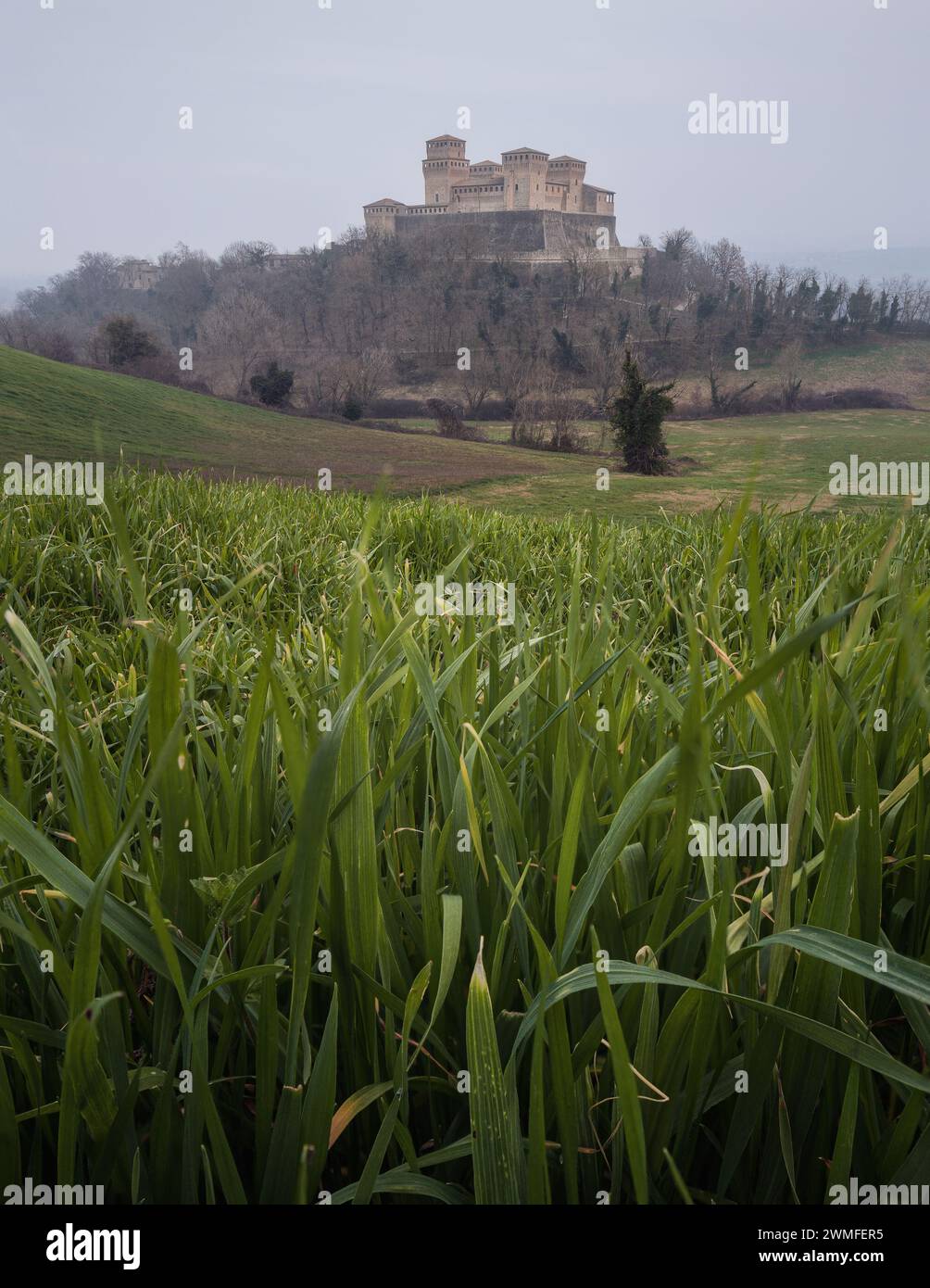 Una giornata cupa a corte Foto Stock