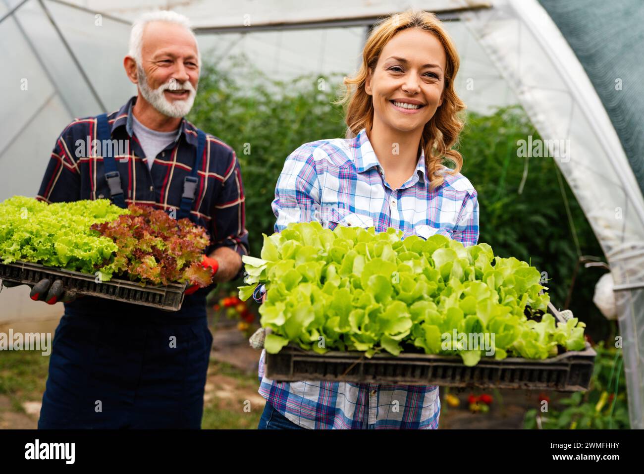 Famiglia felice di coltivatori biologici di verdure da vendere ai negozi locali. Foto Stock