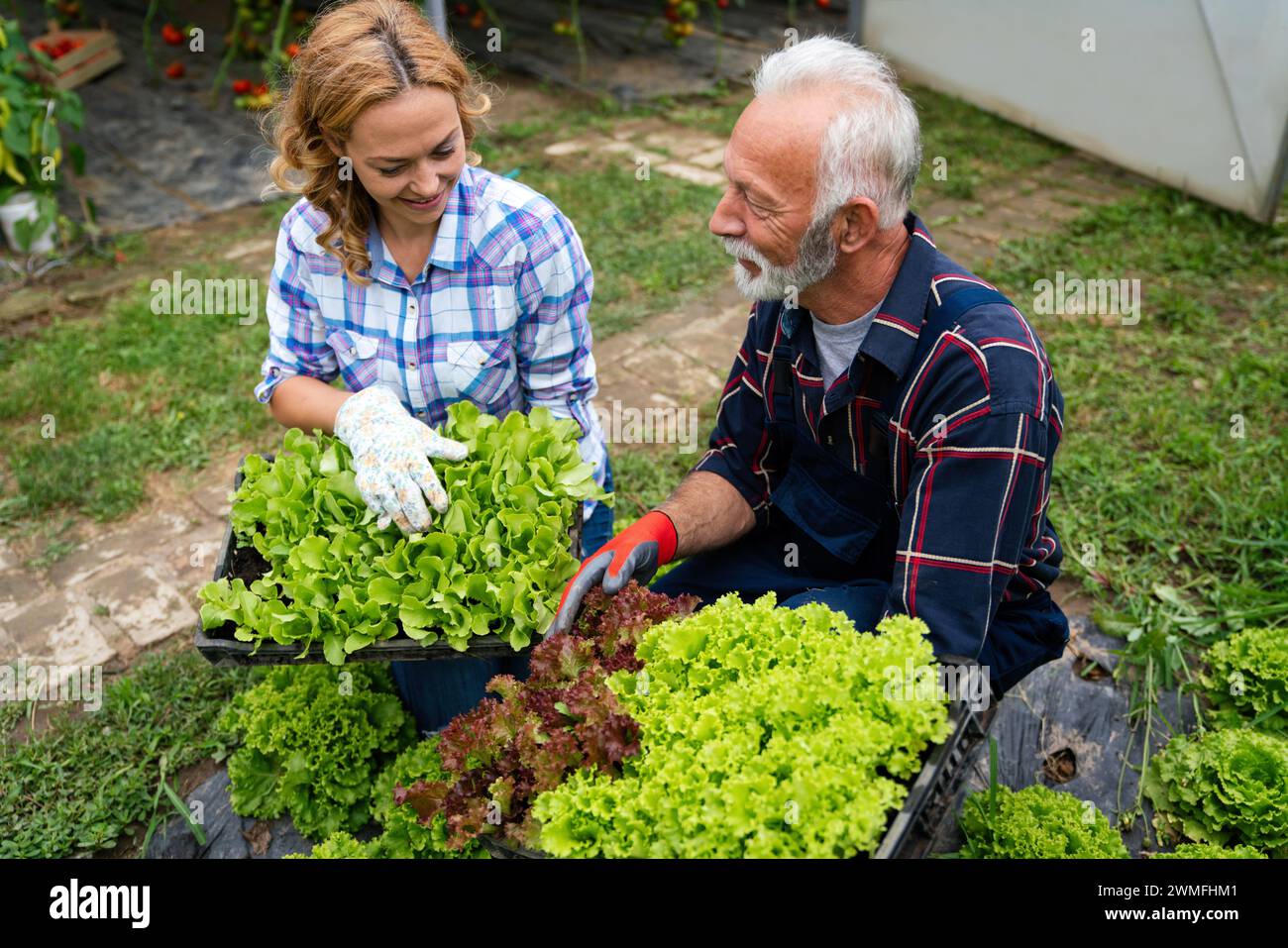 Famiglia felice di coltivatori biologici di verdure da vendere ai negozi locali. Foto Stock