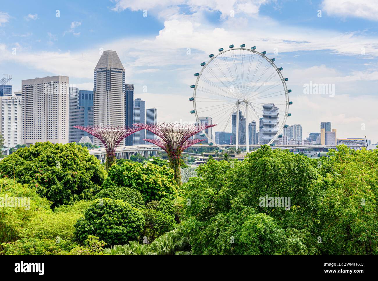 Singapore Flyer e Supertrees con lo skyline di Singapore in lontananza, Singapore Foto Stock