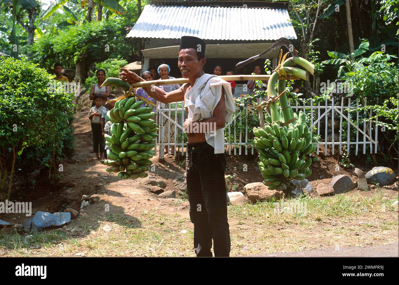 Agricoltura che trasporta banane. Cemoro Lawang, Giava, Indonesia. Foto Stock
