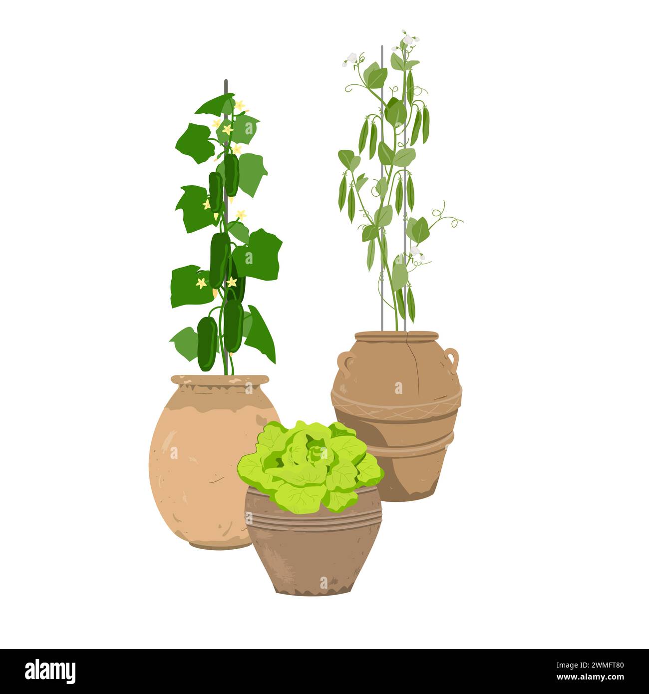 Verdure fatte in casa in vecchie pentole di ceramica, piselli verdi, cetrioli e lattuga in eleganti vasi di fiori d'argilla. Piante in vaso che crescono a casa Illustrazione Vettoriale