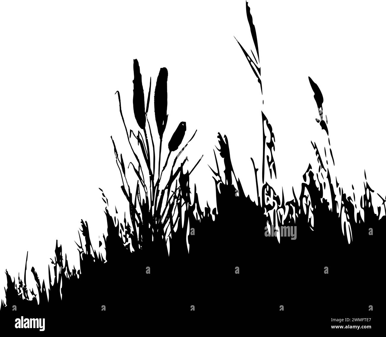 Sagoma grafica in erba nera.immagine di una canna monocromatica, erba o bulrush su sfondo bianco.disegno vettoriale isolato. Illustrazione Vettoriale