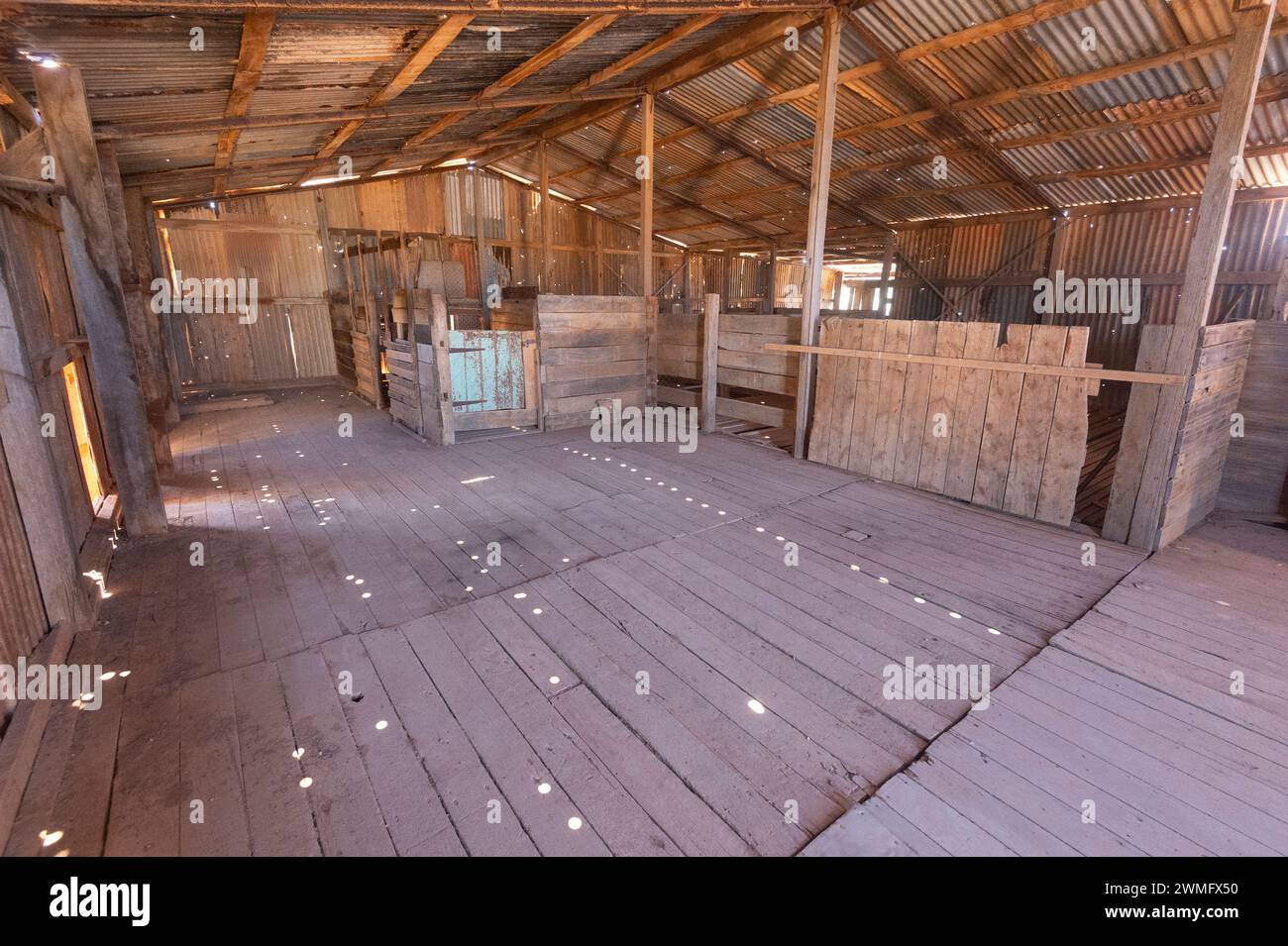 Vecchio capannone di tosatura a Koonalda Homestead, un punto di interesse lungo la Eyre Highway, Nullarbor, South Australia, SA, Australia Foto Stock
