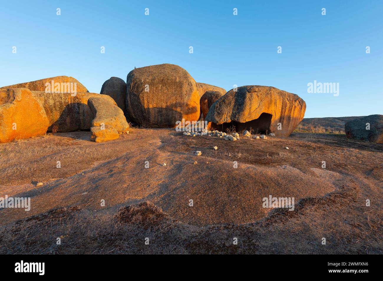 Vista panoramica di Wattle Grove Rock alla luce dorata, Wudinna, penisola di Eyre, Australia meridionale, SA, Australia Foto Stock