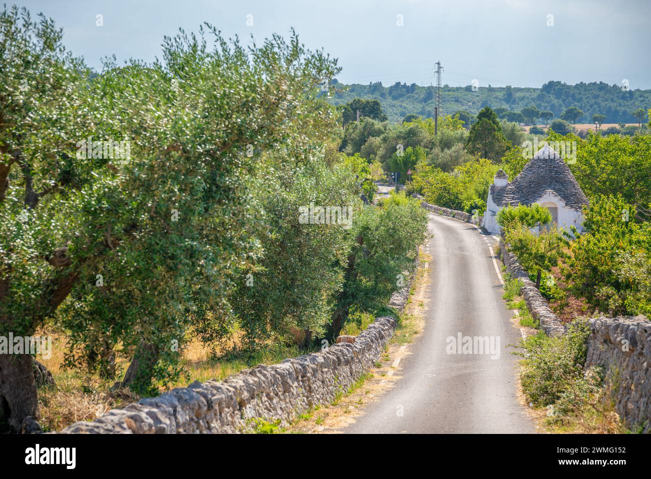 Strada per la Puglia. Strada tra ulivi e Trulli case tipiche Foto Stock