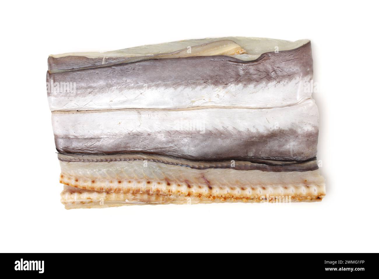 Asciugare le anguille su sfondo bianco Foto Stock