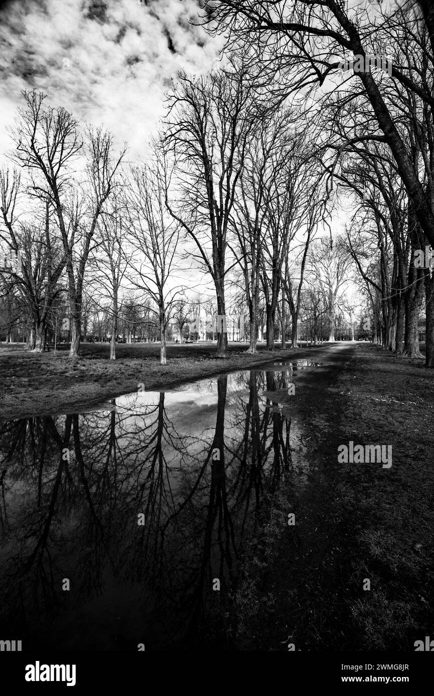 Paesaggio invernale del Parco Ducale Parma, Italia Foto Stock