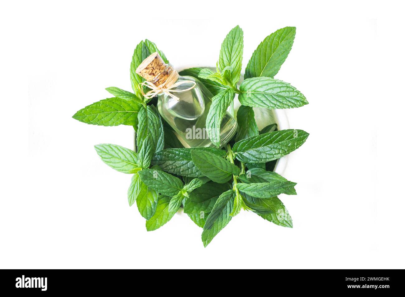 Bottiglia in vetro di olio essenziale di menta piperita con foglie di menta verde fresche isolate su sfondo bianco Foto Stock