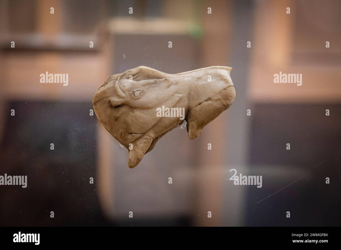 bisonte sulla corna di renna, Maddalena del Paleolitico superiore, Museo de la evolución humana, MEH, Burgos, Spagna Foto Stock