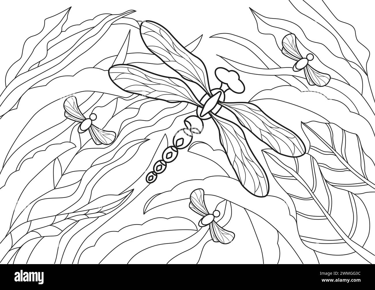 Pagina colorata Flying libellfly disegnata a mano per rilassamento e sollievo dallo stress. Libro da colorare per adulti con scarabocchi ed elementi di design. Foto Stock
