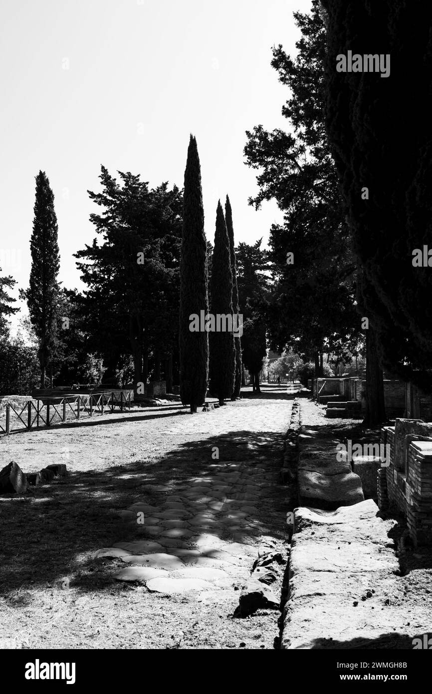 Foto in bianco e nero del paesaggio presso il sito archeologico di Fiumicino in Italia Foto Stock