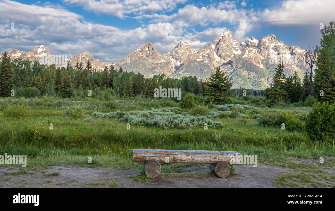 "Pause and Reflect", panca che si affaccia sulle vette di Teton a Schwabacher Landing, Grand Teton National Park, Wyoming Foto Stock