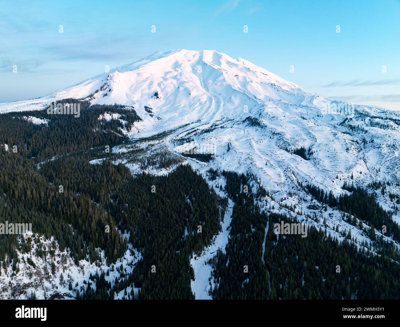 L'alba illumina Mount St Helens, uno stratovulcano panoramico e attivo, che sorge dal lussureggiante paesaggio boschivo di Washington. Foto Stock