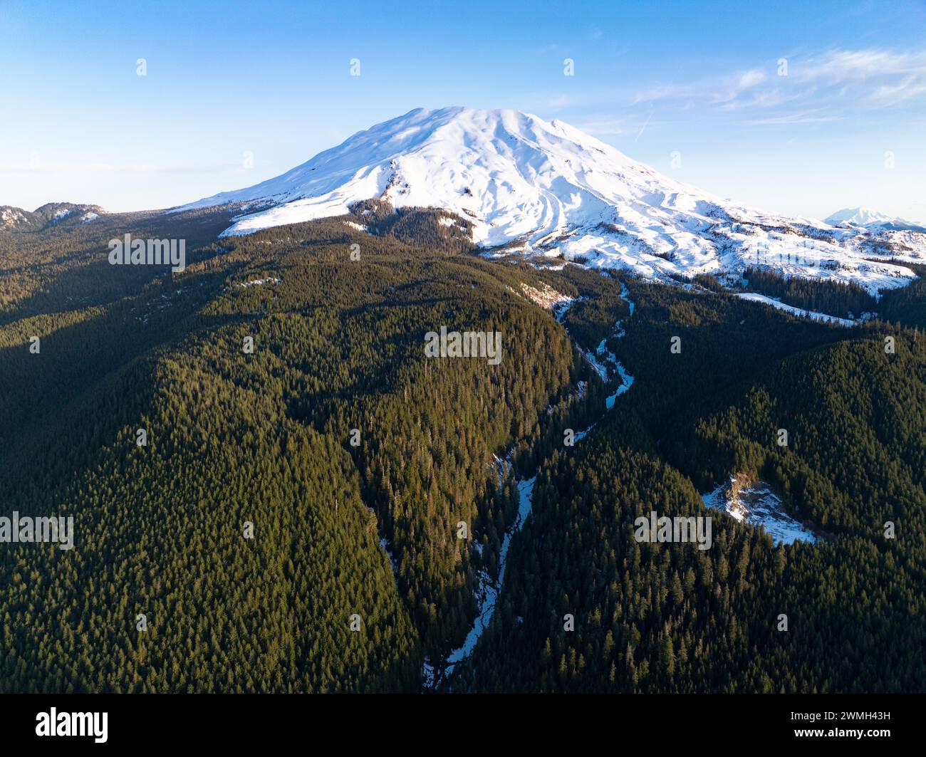 L'alba illumina Mount St Helens, uno stratovulcano panoramico e attivo, che sorge dal lussureggiante paesaggio boschivo di Washington. Foto Stock