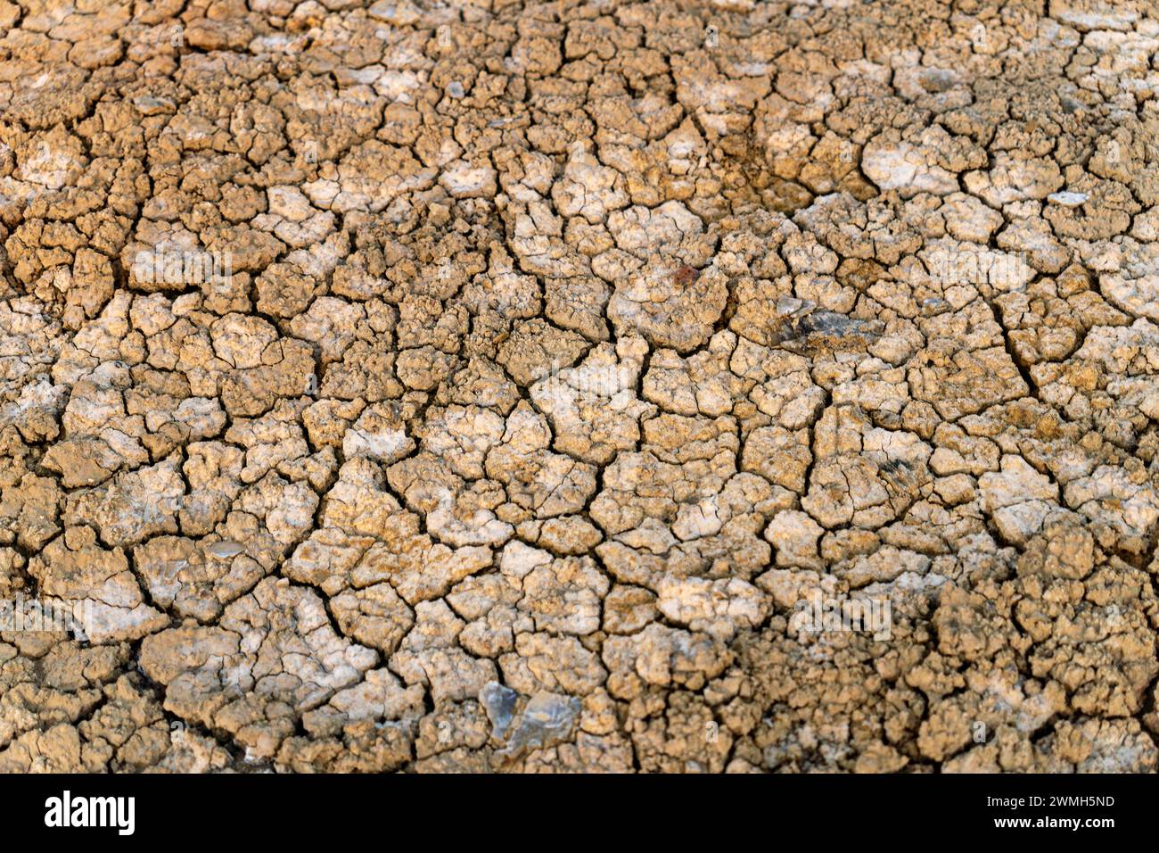 Desertificazione. concetto di siccità dovuta al cambiamento climatico e al riscaldamento globale. Problemi ambientali della terra. Foto Stock