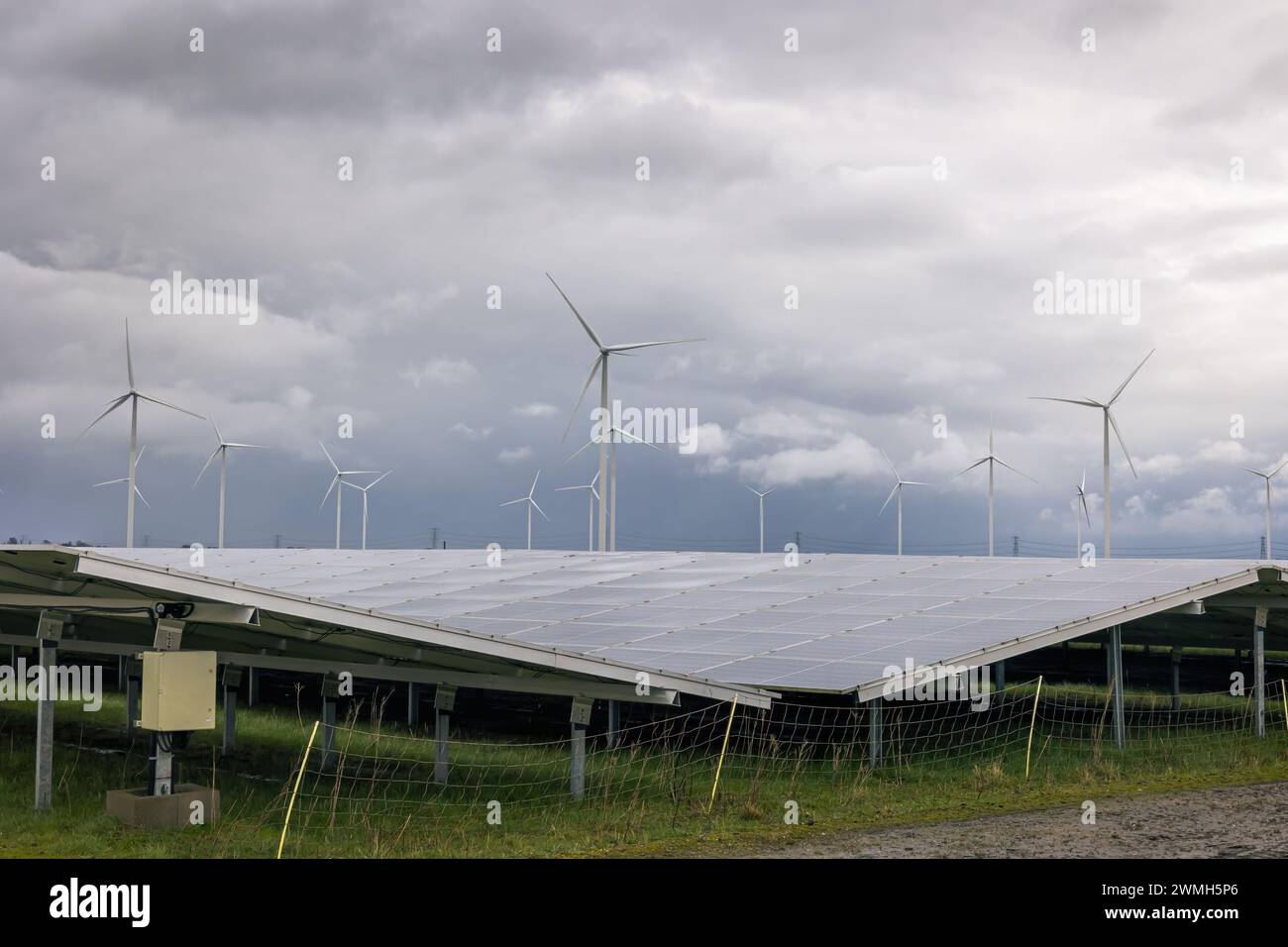 Energia verde insieme a turbine eoliche e parchi solari per combattere il cambiamento climatico e ridurre le emissioni di anidride carbonica, provincia di Groninga Nethe Foto Stock