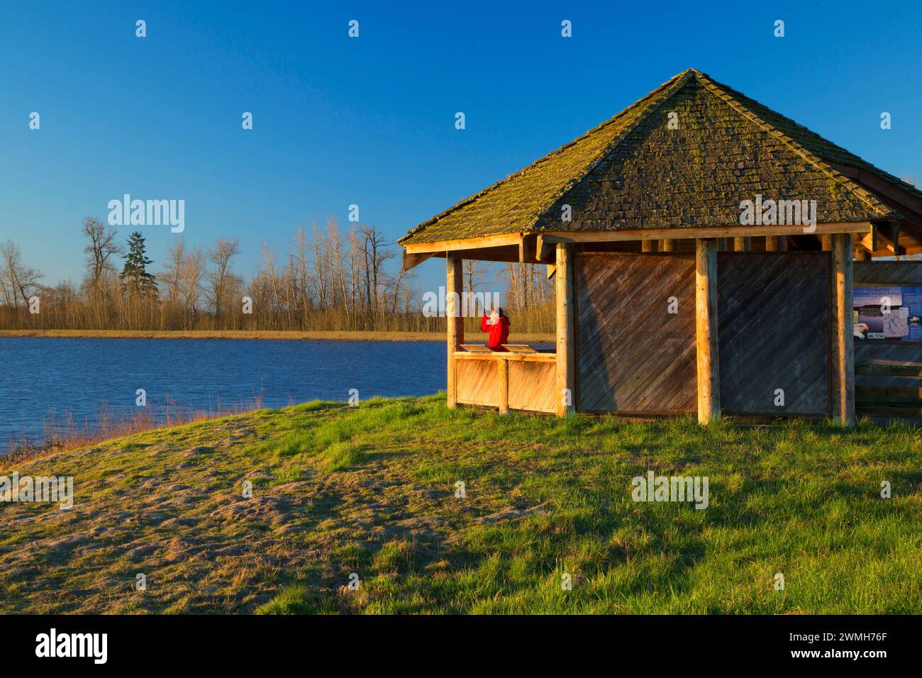 Eagle Marsh rifugio di osservazione, Ankeny National Wildlife Refuge, Oregon Foto Stock
