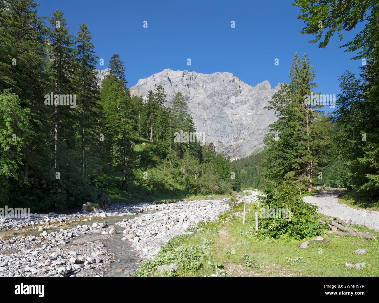 Le pareti nord dei monti Karwendel - le pareti di Grubenkar spitze dalla valle. Foto Stock