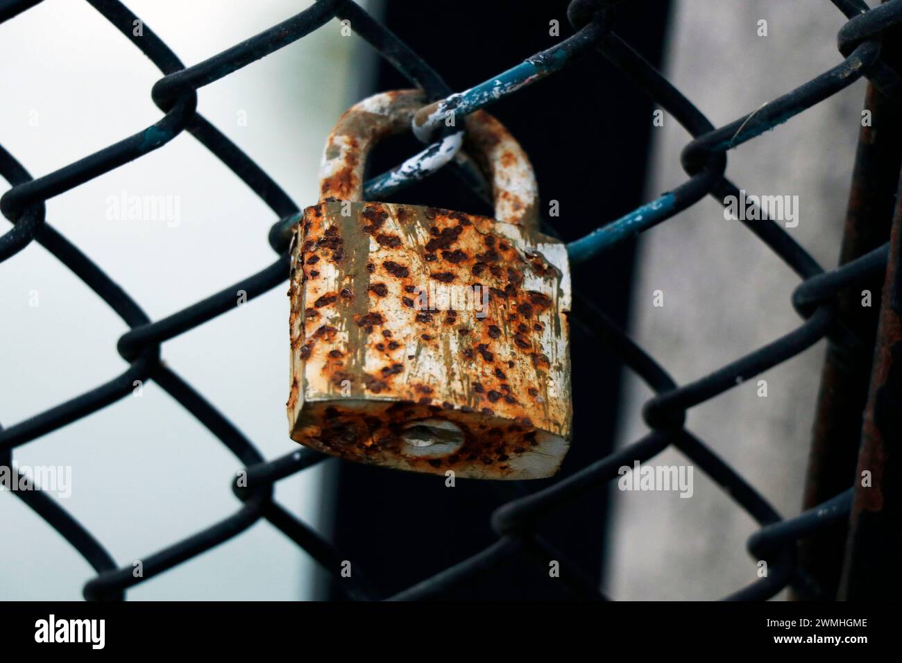 vecchi lucchetti colorati arrugginiti bloccati su una parete a rete Foto Stock