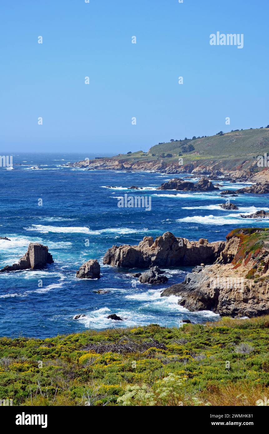 Costa del Pacifico vicino a Big Sur e Monterey, California, Stati Uniti Foto Stock