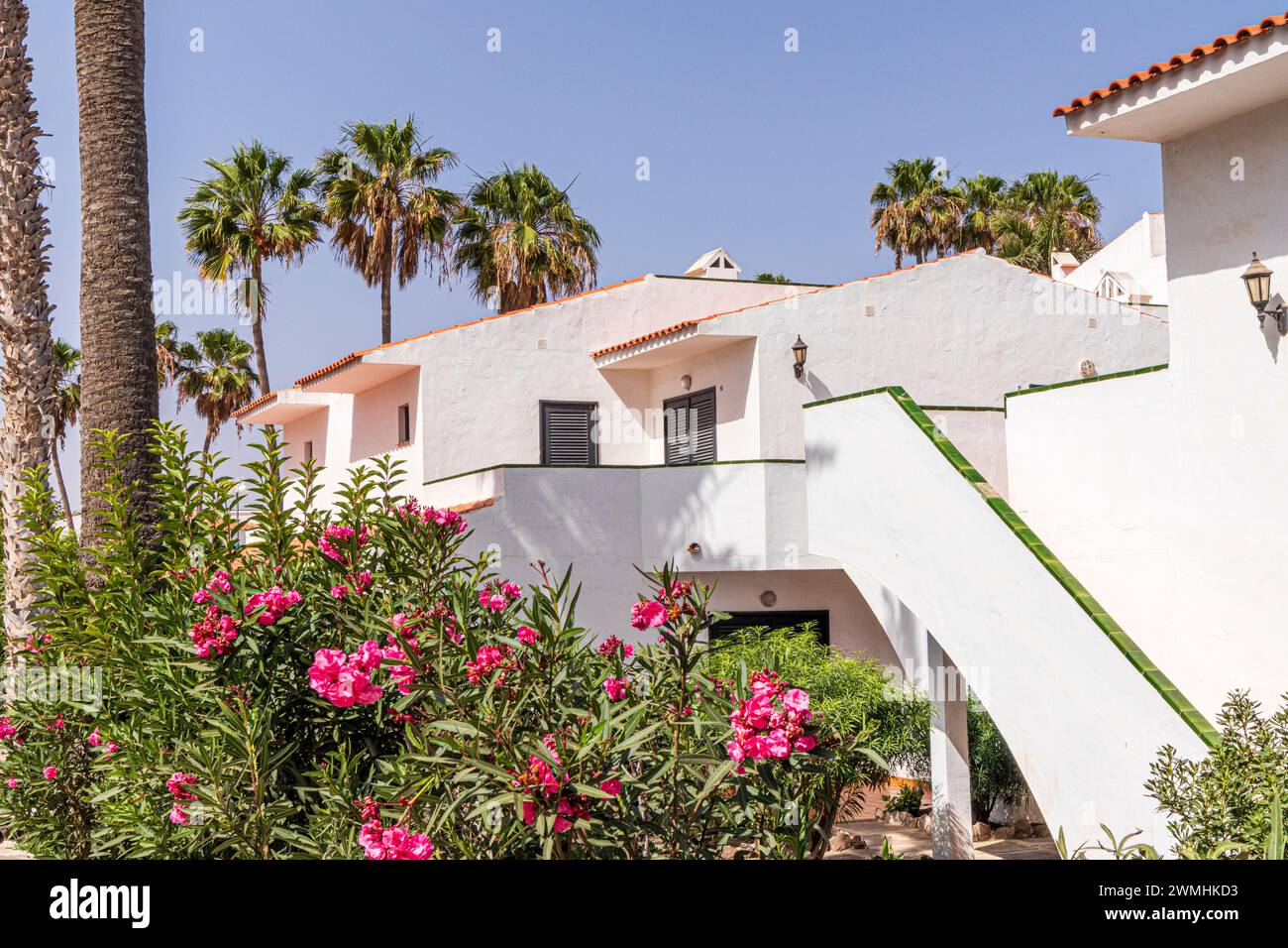 Tipici edifici residenziali a Caleta de Fuste sull'isola Canaria di Fuerteventura, Spagna Foto Stock