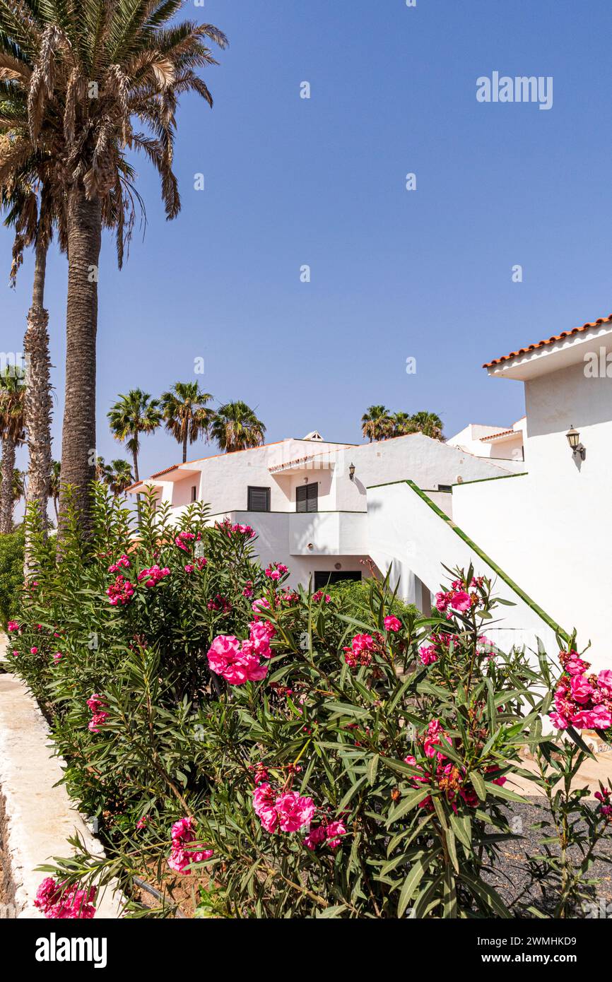 Tipici edifici residenziali a Caleta de Fuste sull'isola Canaria di Fuerteventura, Spagna Foto Stock