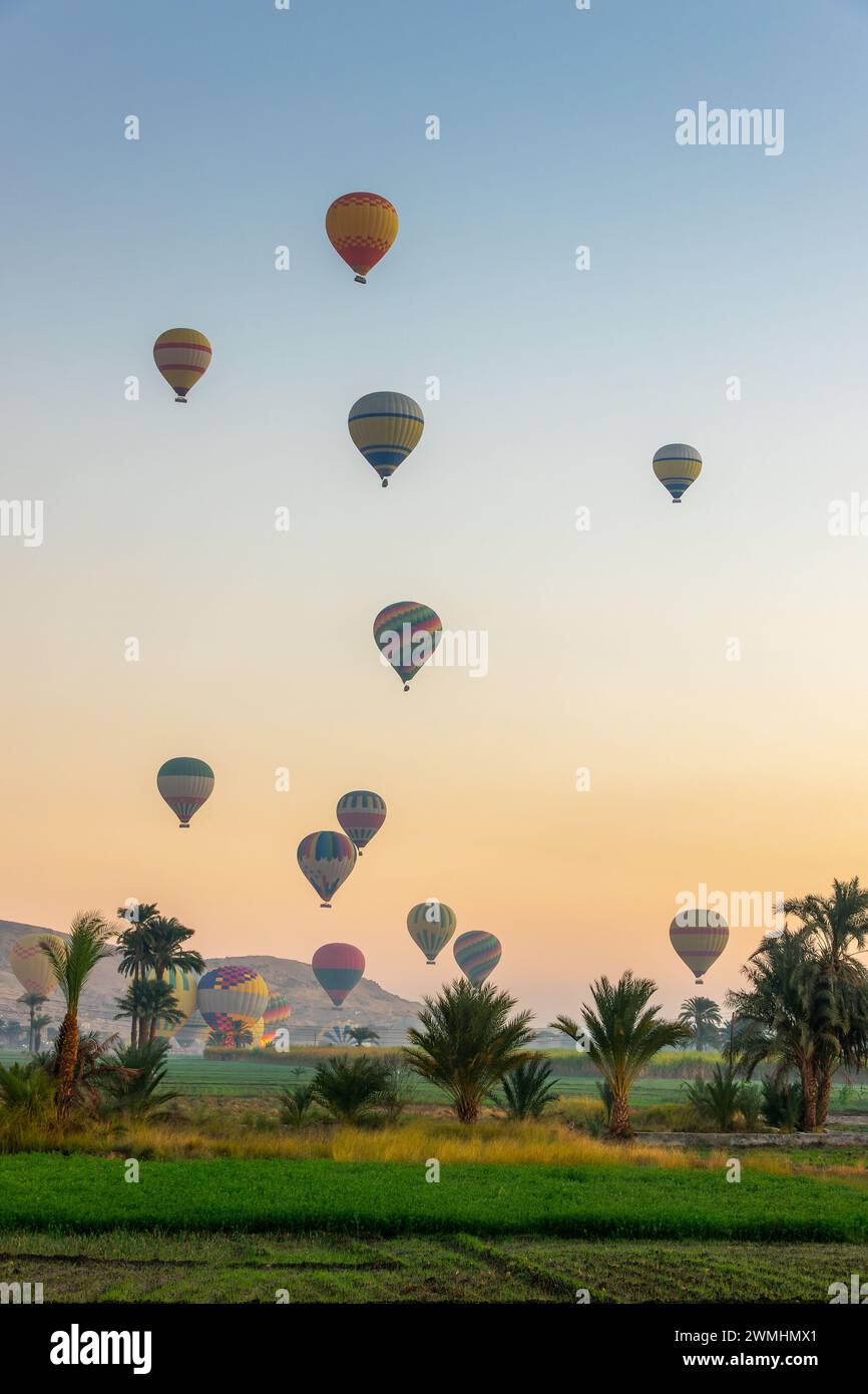Decolla da colossali mongolfiere all'alba vicino alla Valle dei Re, sulla sponda occidentale di Luxor, in Egitto Foto Stock