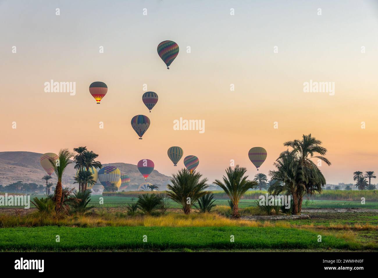 Decolla da colossali mongolfiere all'alba vicino alla Valle dei Re, sulla sponda occidentale di Luxor, in Egitto Foto Stock