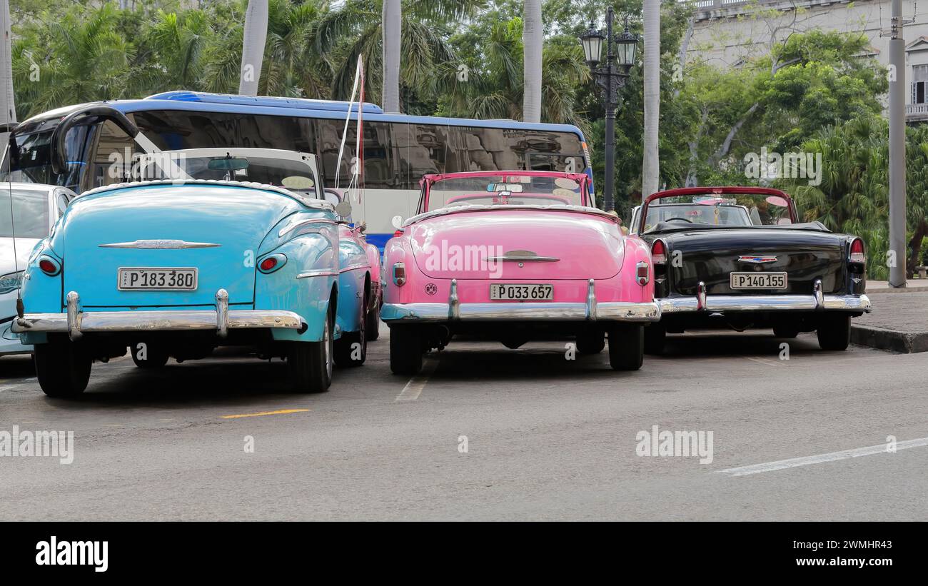 016 vecchie auto in alluminio blu-rosa-nero -serbatoio yank, Ford e Chevrolet classici americani dal 1947-52-55- sul lungomare del Paseo del Prado. L'Avana-Cuba. Foto Stock