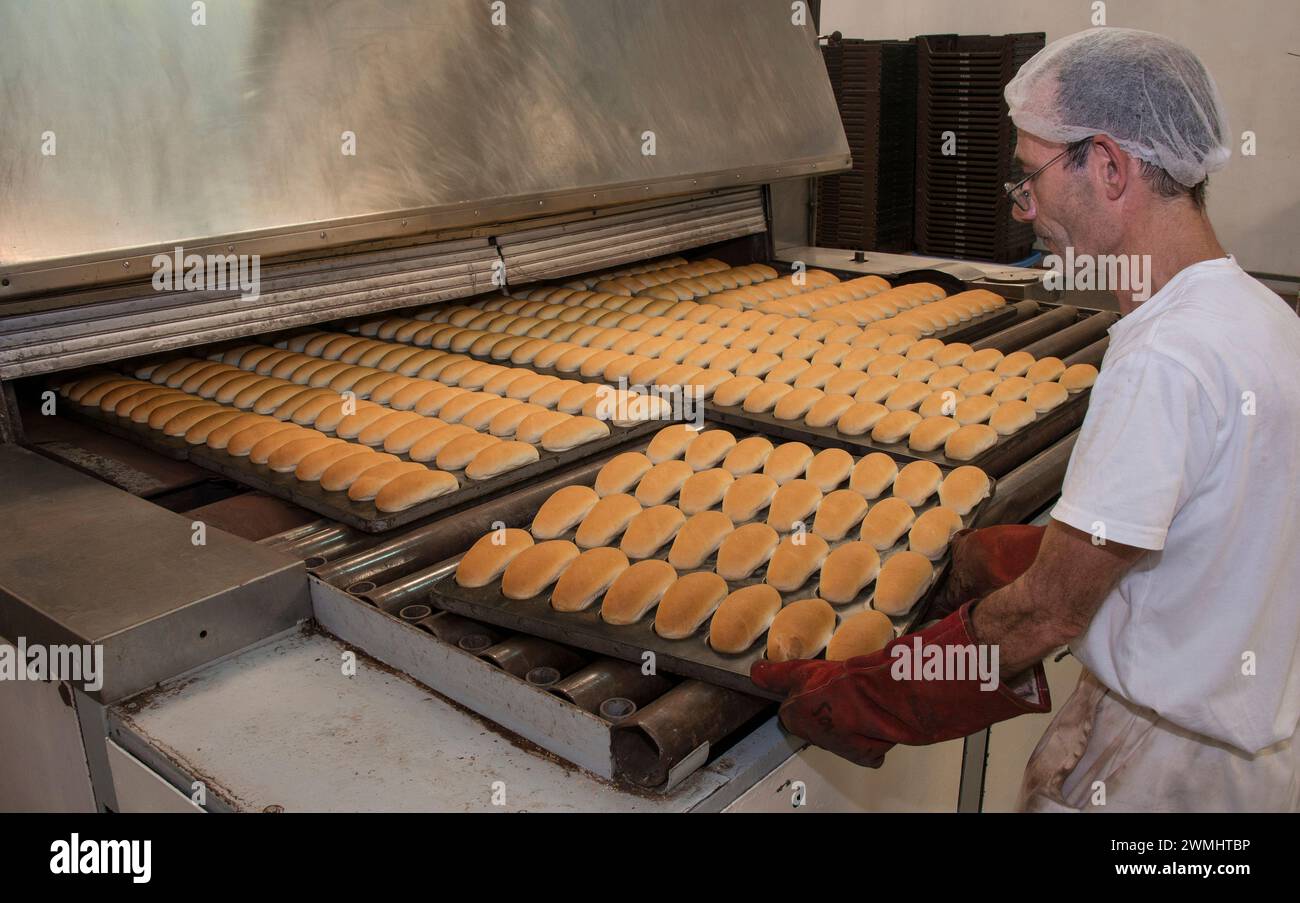 Operatore che inserisce vassoi di panini in un forno industriale Foto Stock
