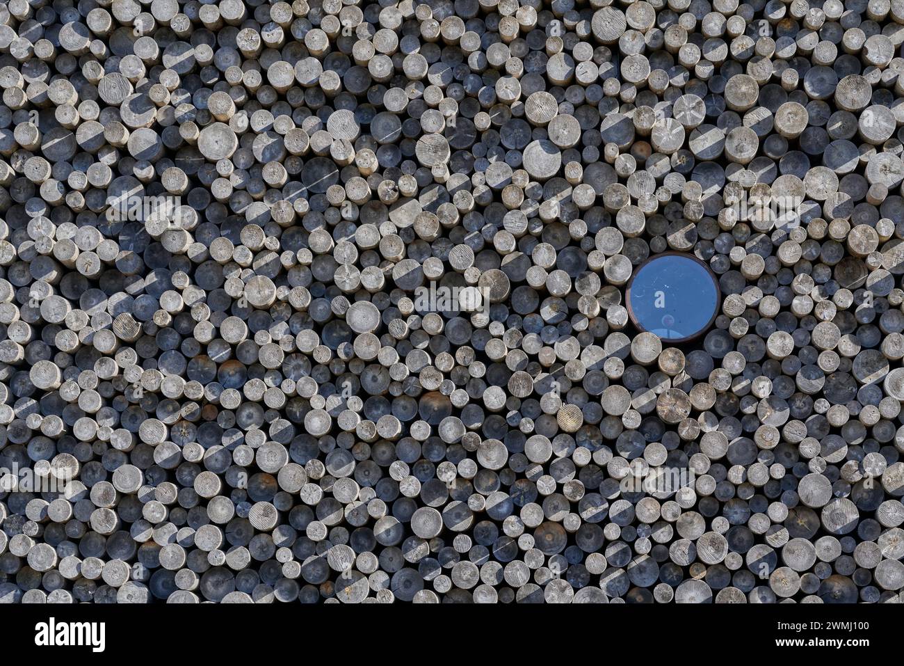 Una piccola finestra rotonda circondata da grandi tronchi simili a tronchi di legno Foto Stock