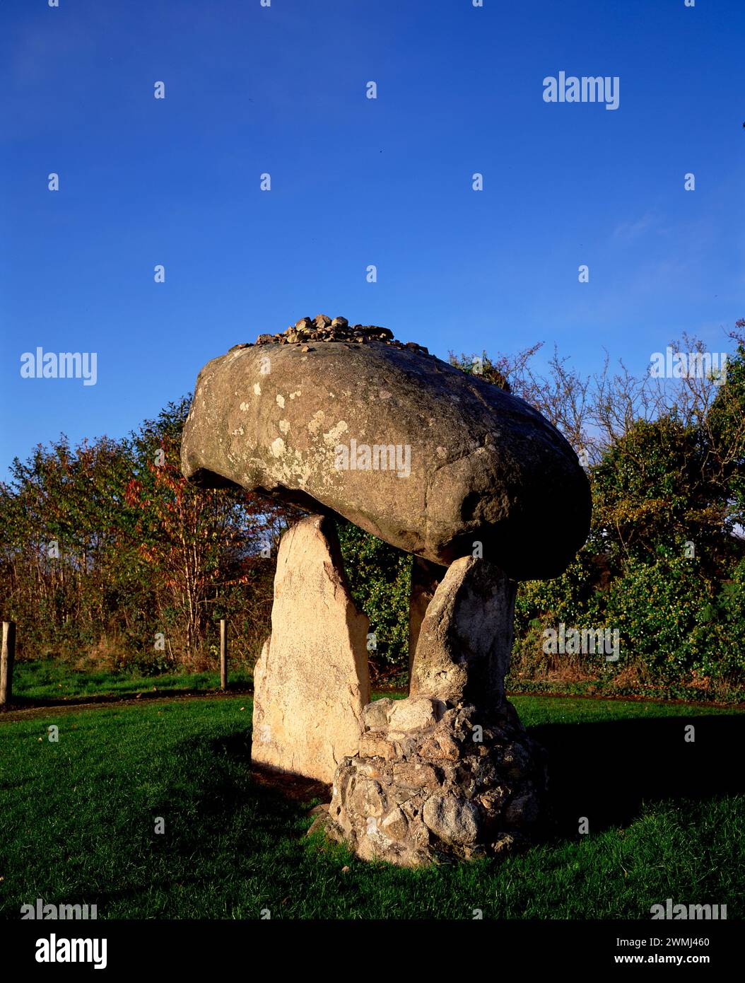 Proleek Dolmen, tomba neolitica, Contea di Louth, Irlanda Foto Stock