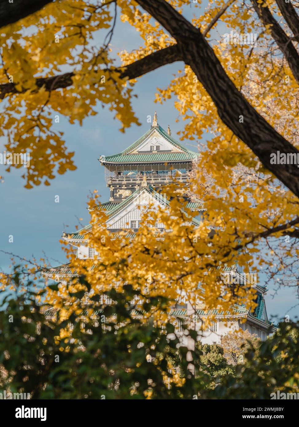 Castello di Osaka nella stagione autunnale, Osaka, Giappone. Foto Stock