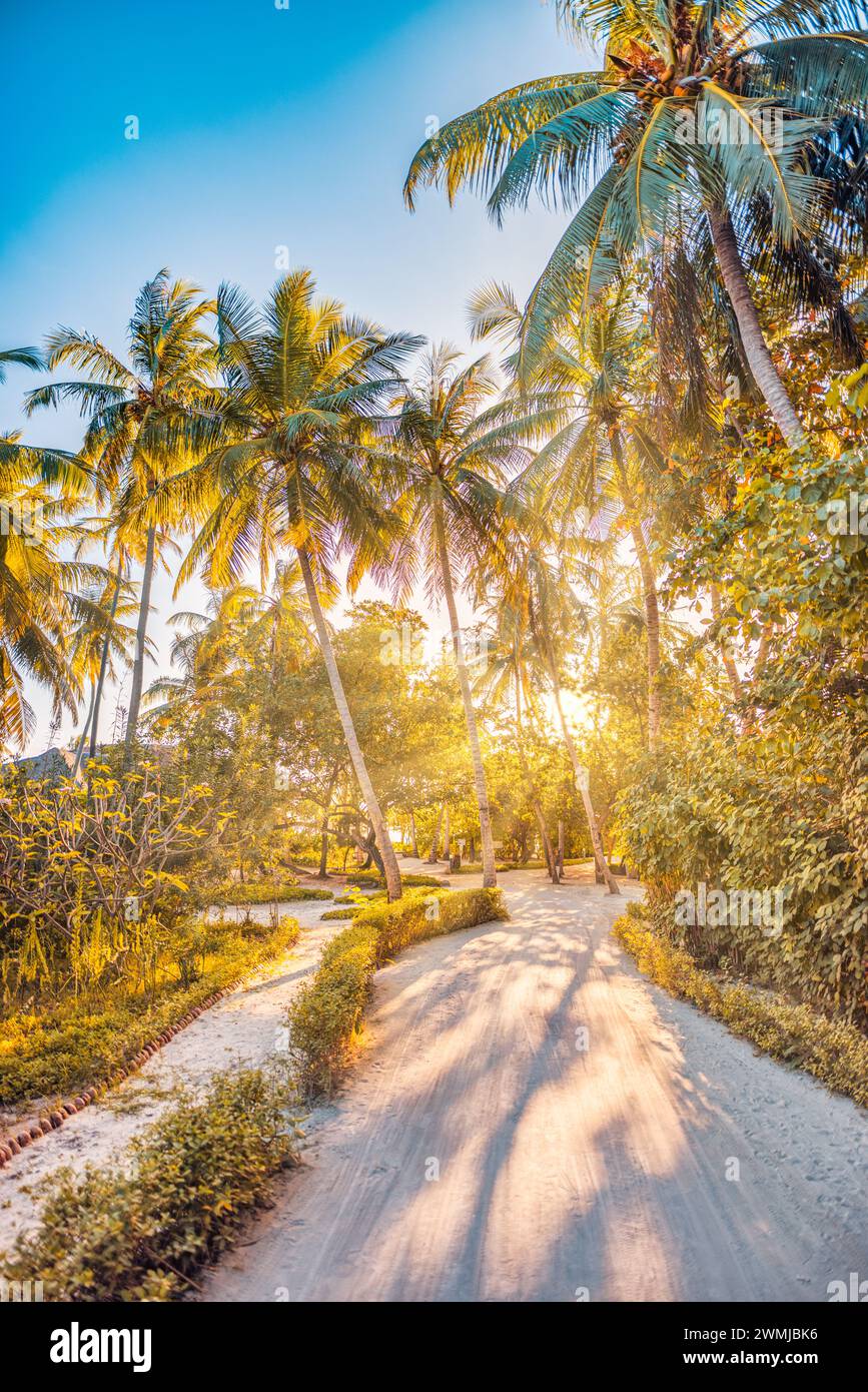 Romantiche atmosfere di palme tropicali, sole e sentiero della foresta. Tramonto all'aperto, vegetazione esotica, paesaggio naturale ravvicinato. Palme da cocco e brillanti Foto Stock