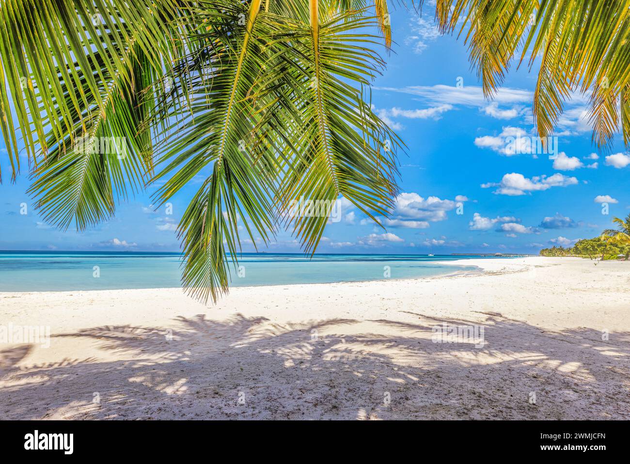 Paesaggio estivo della spiaggia. costa tropicale dell'isola, costa con foglie di palma. Incredibile orizzonte di mare blu, cielo luminoso e sabbia bianca come vacanza rilassante Foto Stock