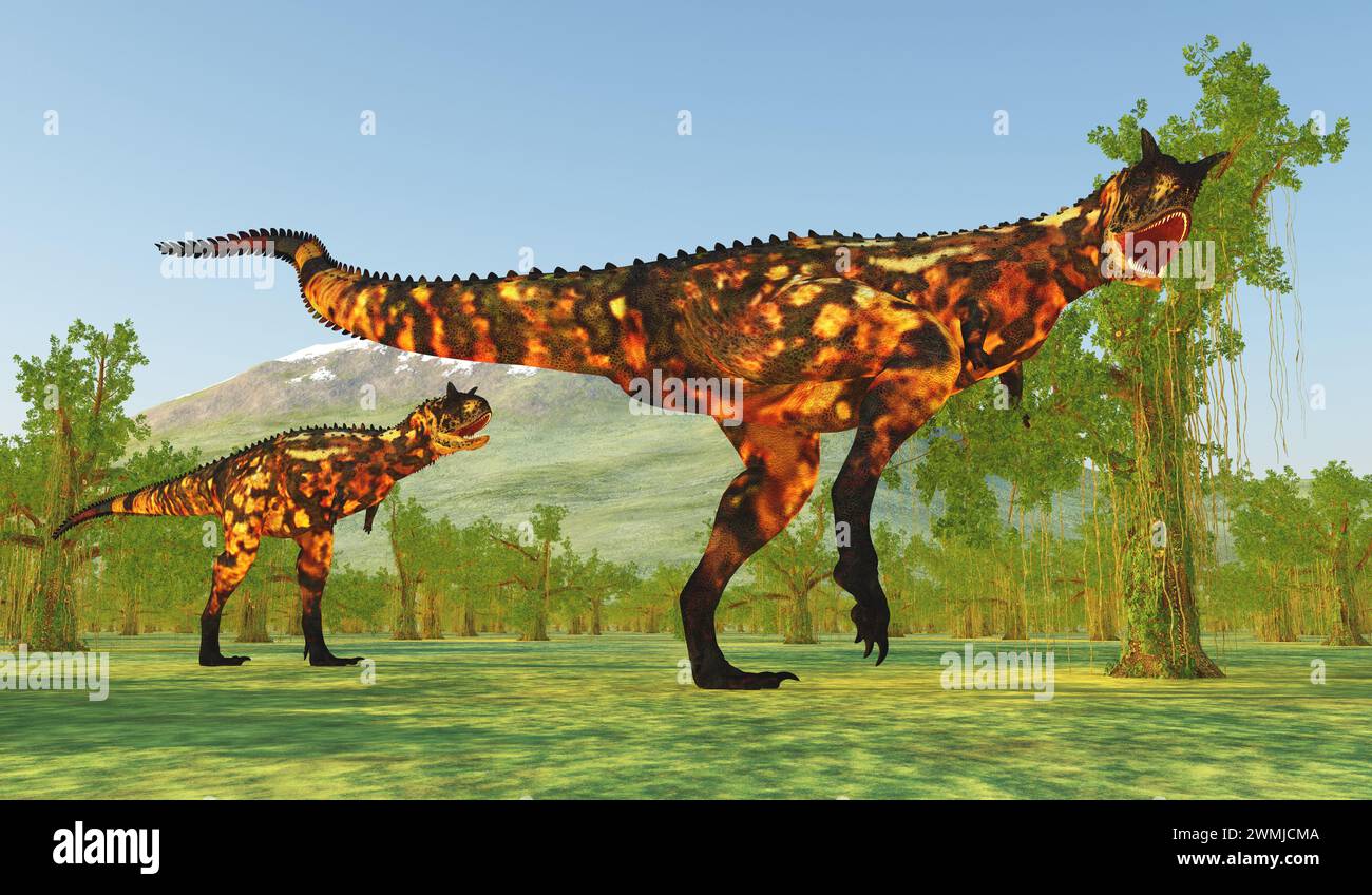 Carnotaurus era un dinosauro teropode carnivoro che visse in Argentina durante il Cretaceo. Foto Stock