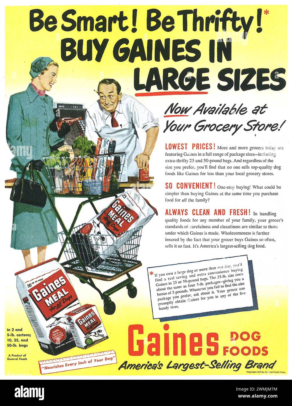 1950 pubblicità a stampa Gaines Dog Food Foto Stock