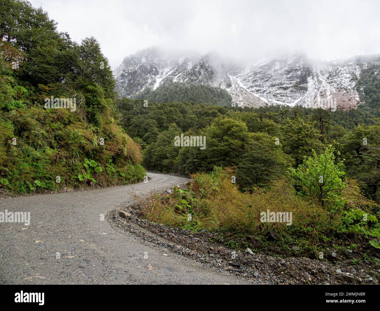 Strada Carretera Austral a sud del villaggio di Puyuhuapi, passo montano, strada sterrata, nevicata, Patagonia, Cile Foto Stock