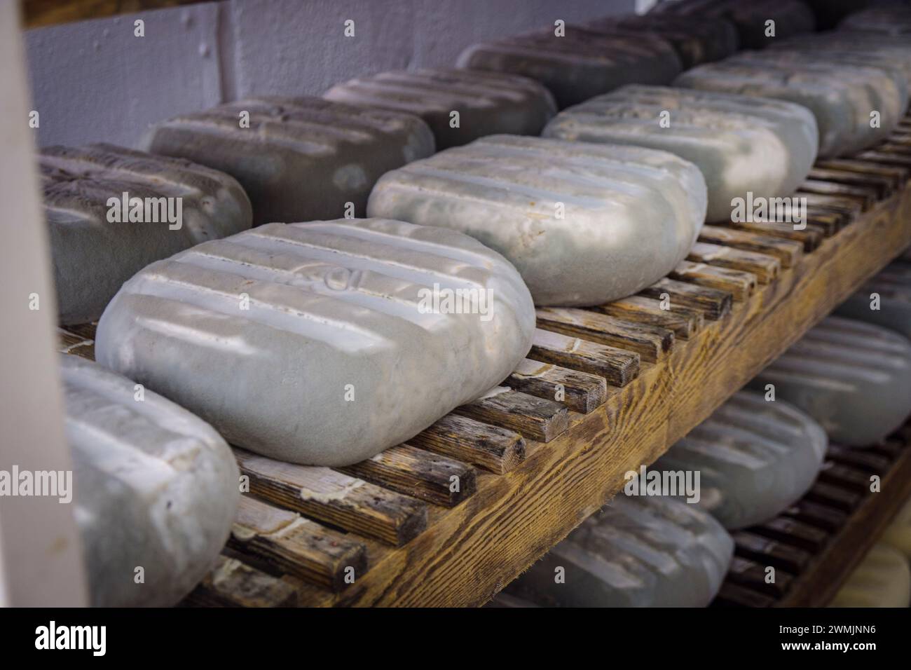 Mensole con formaggio, es Tudons cheesemaking, Ciutadella, Menorca, Isole Baleari, Spagna Foto Stock