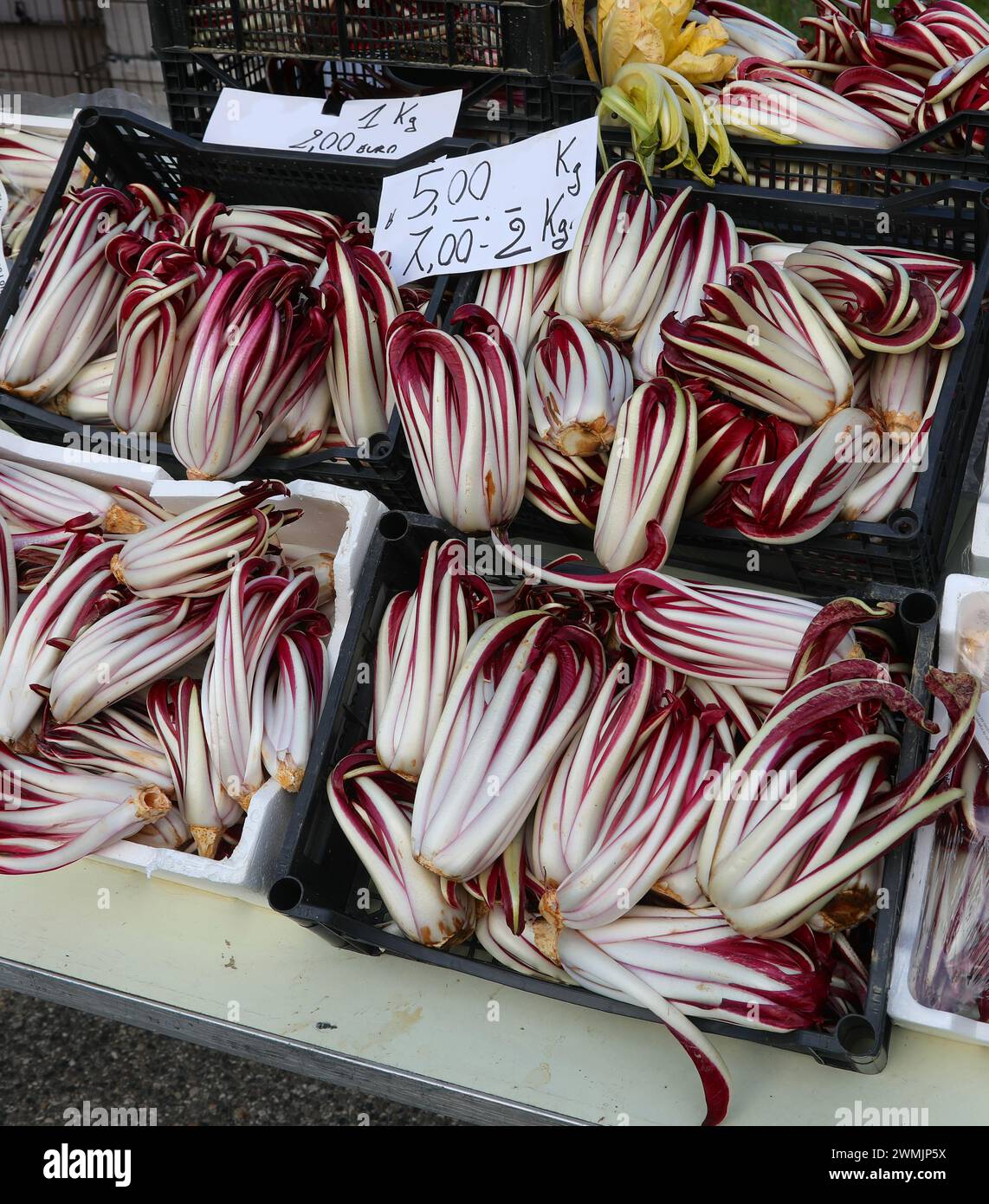 cate di radicchio rosso tardivo un tipo speciale di radicchio chiamato TARDIVO dal Nord Italia con un prezzo di listino Foto Stock